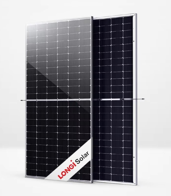 LONGi Bifacial